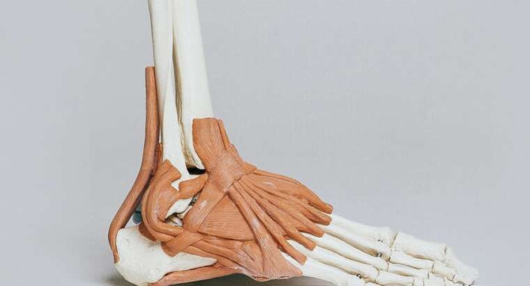 Ankle Sprain Risk and the Role of Hip Strength